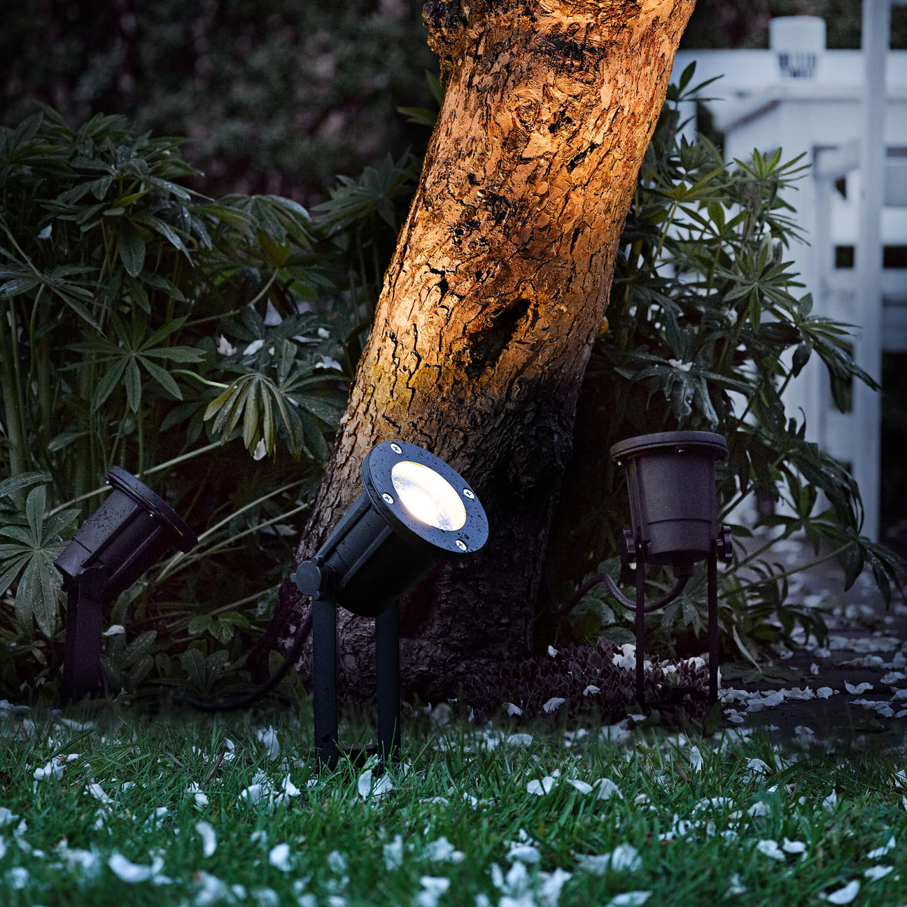 Garden Spike Lights