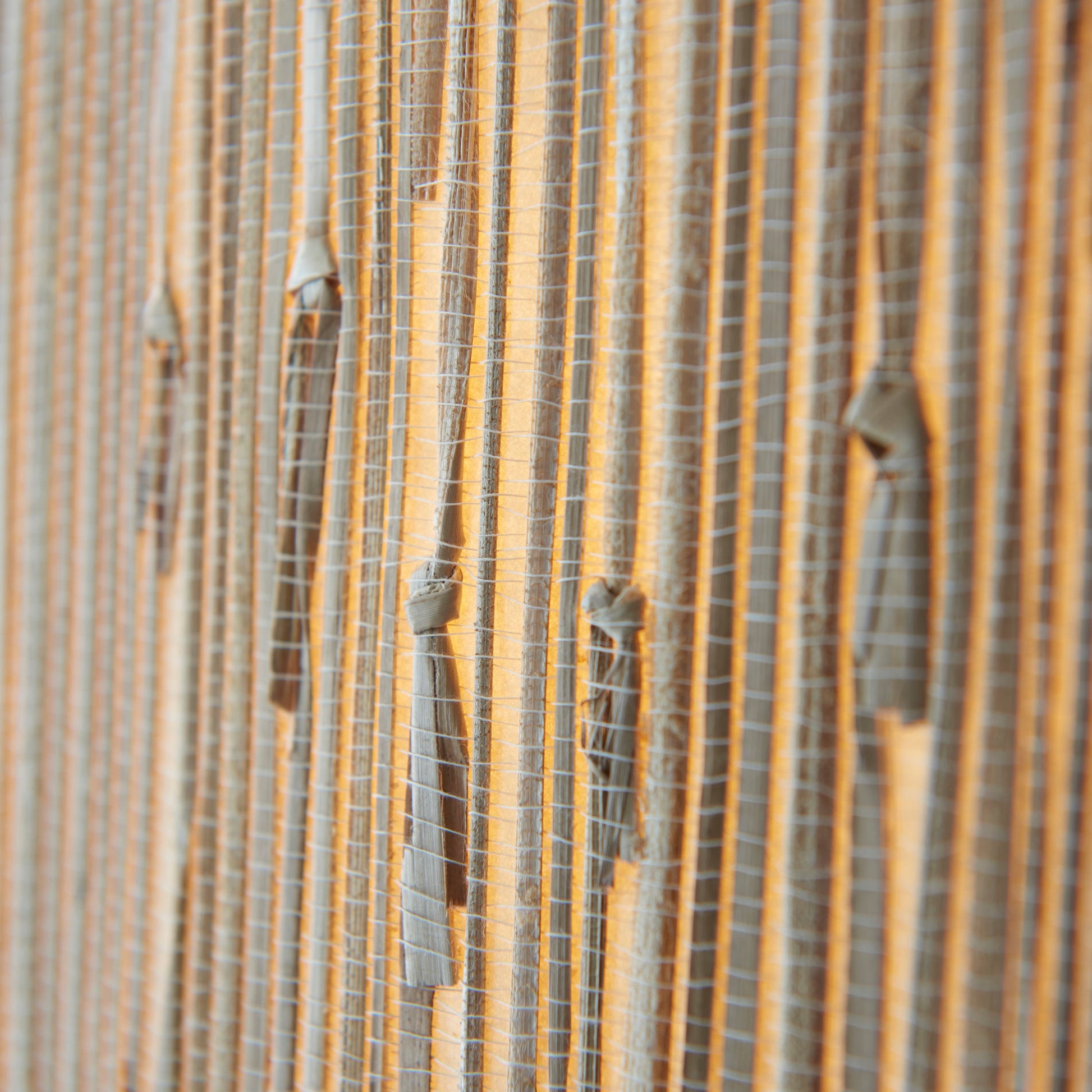 Longshore Seagrass Island Pendant Light