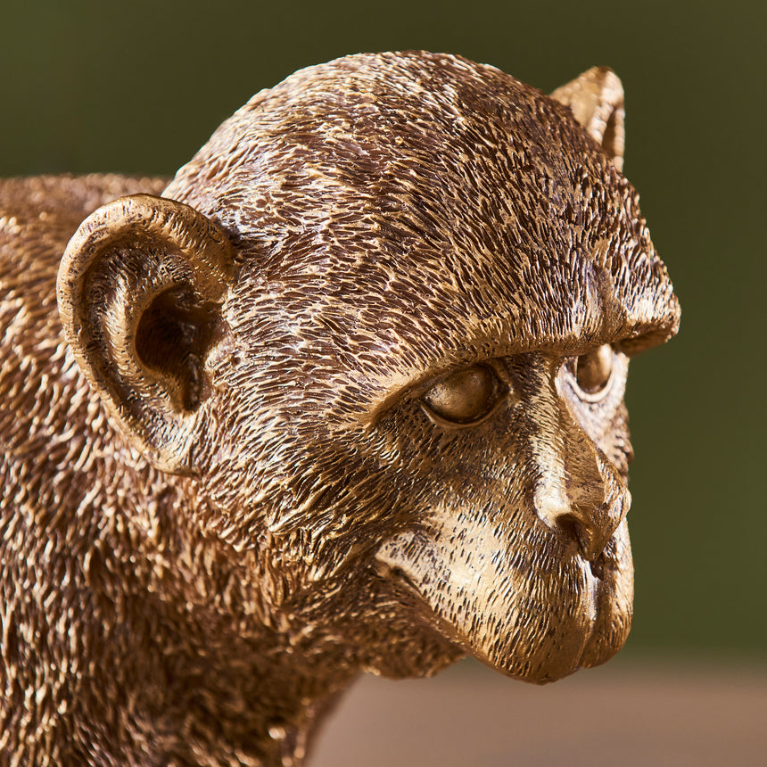 Capuchin Table Lamp