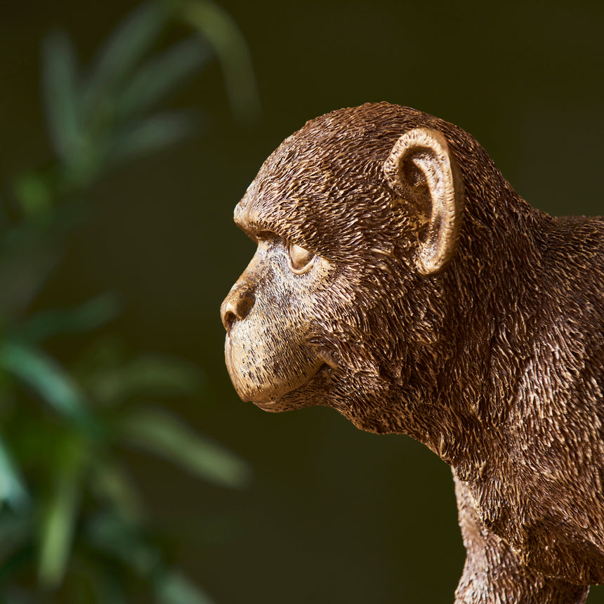 Capuchin Table Lamp