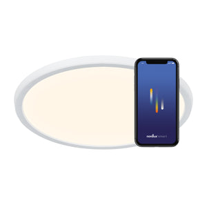 Oja 29 LED Smart Ceiling Light