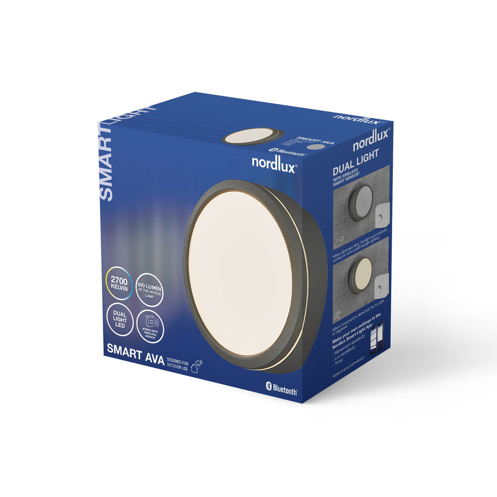 Ava Smart Outdoor Wall Light