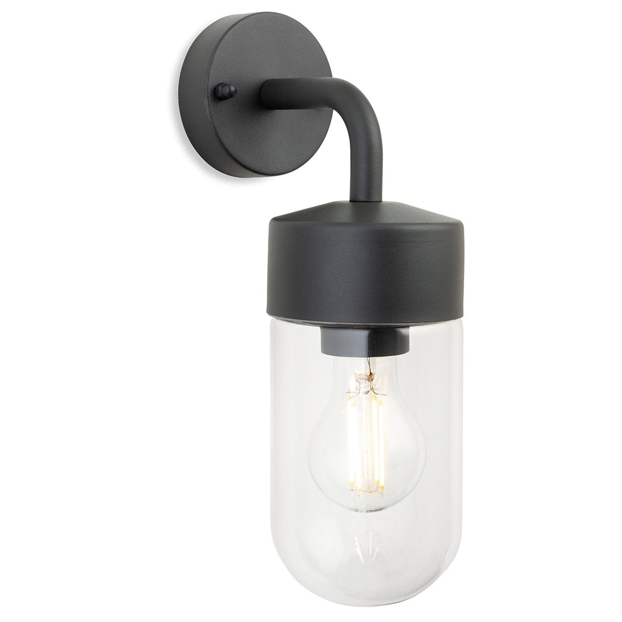 Rainier Outdoor Wall Light