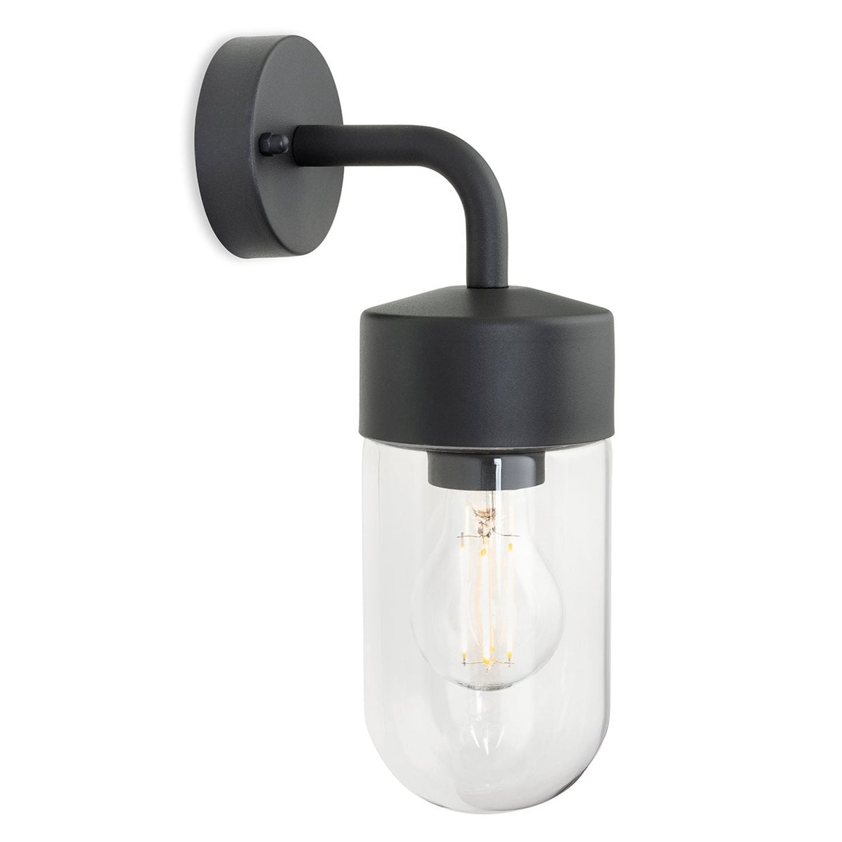 Rainier Outdoor Wall Light