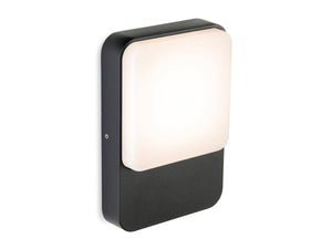 Nolan LED Wall Light