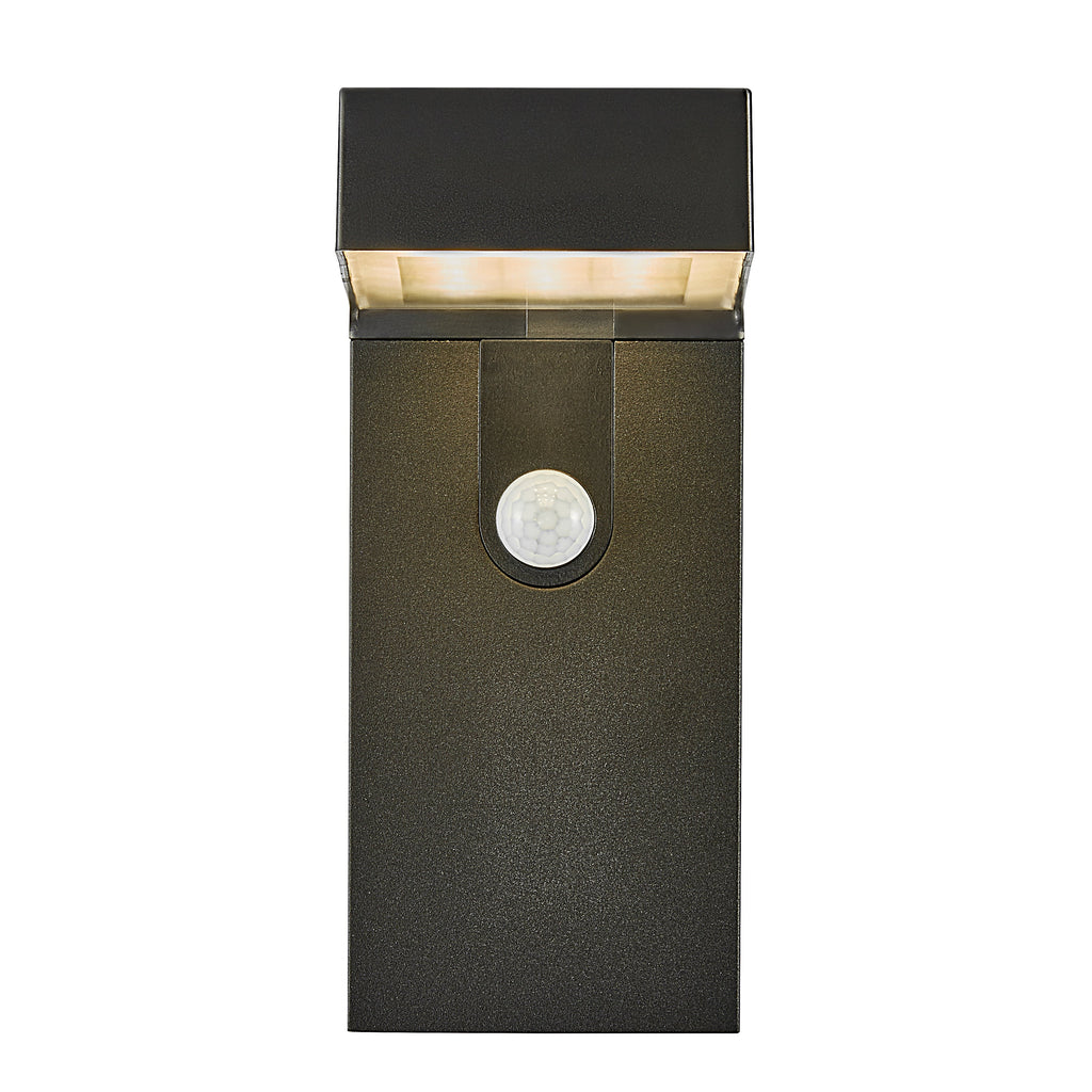 Alya LED Solar Wall Light