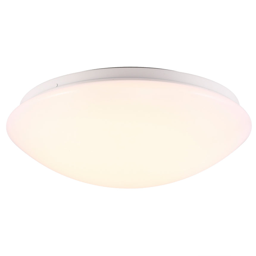 Ask 28 LED Bathroom Ceiling Light