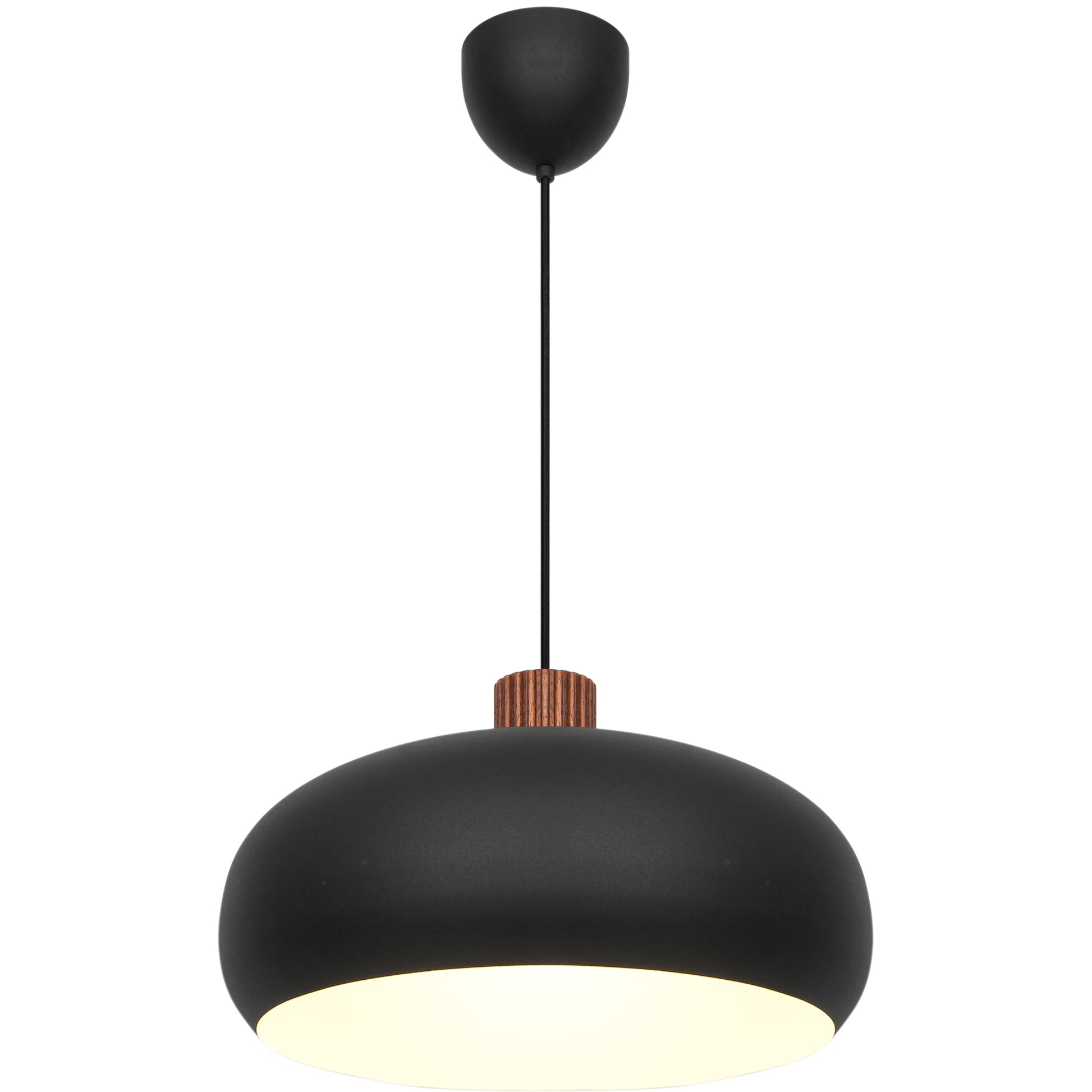 Black pendant light with wooden accent on a white background
