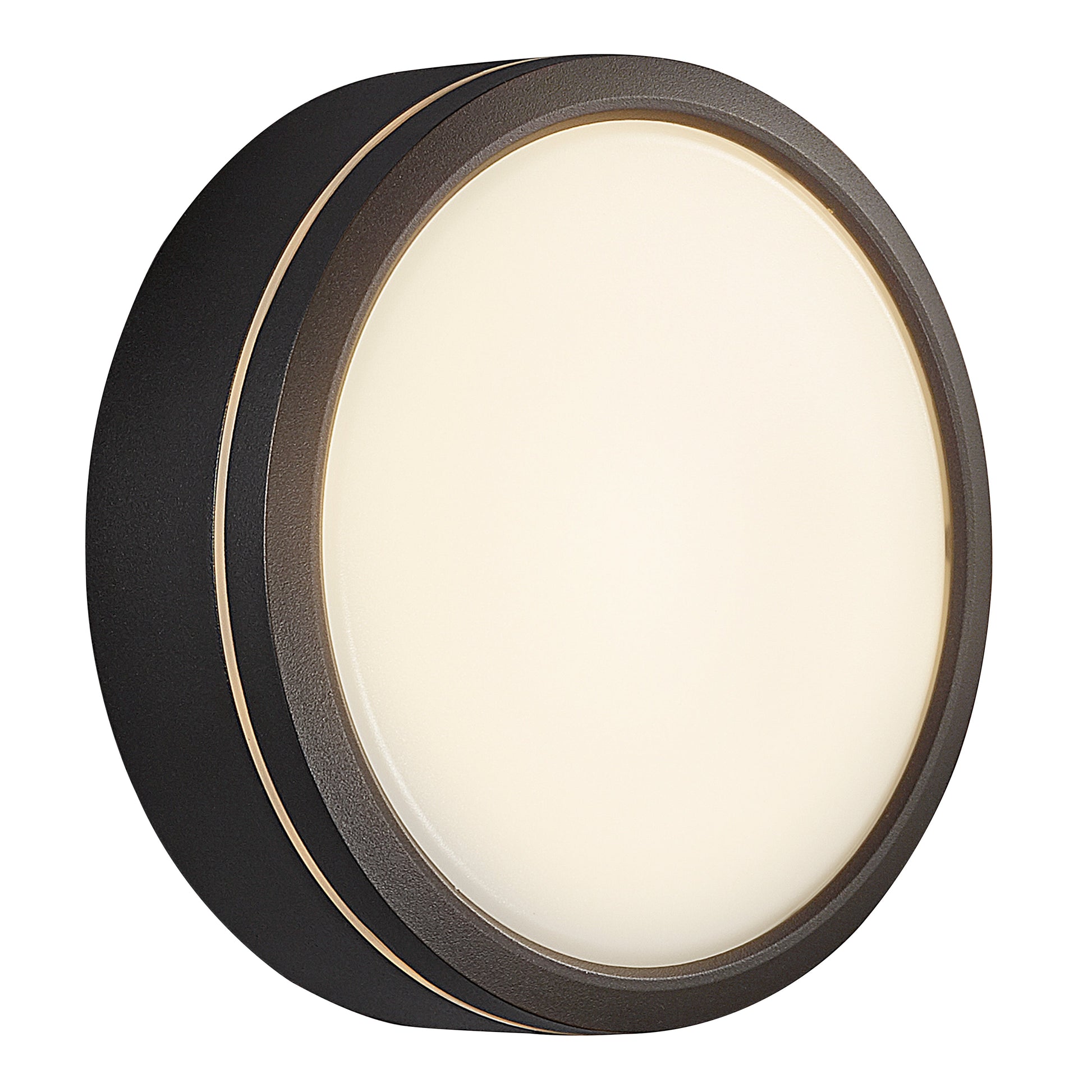 Ava Smart Outdoor Wall Light