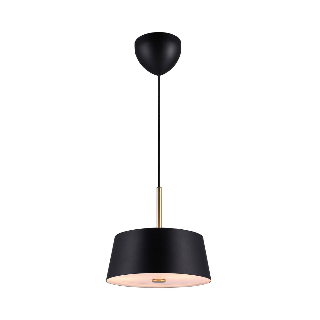 Clasi 45 Pendant Light