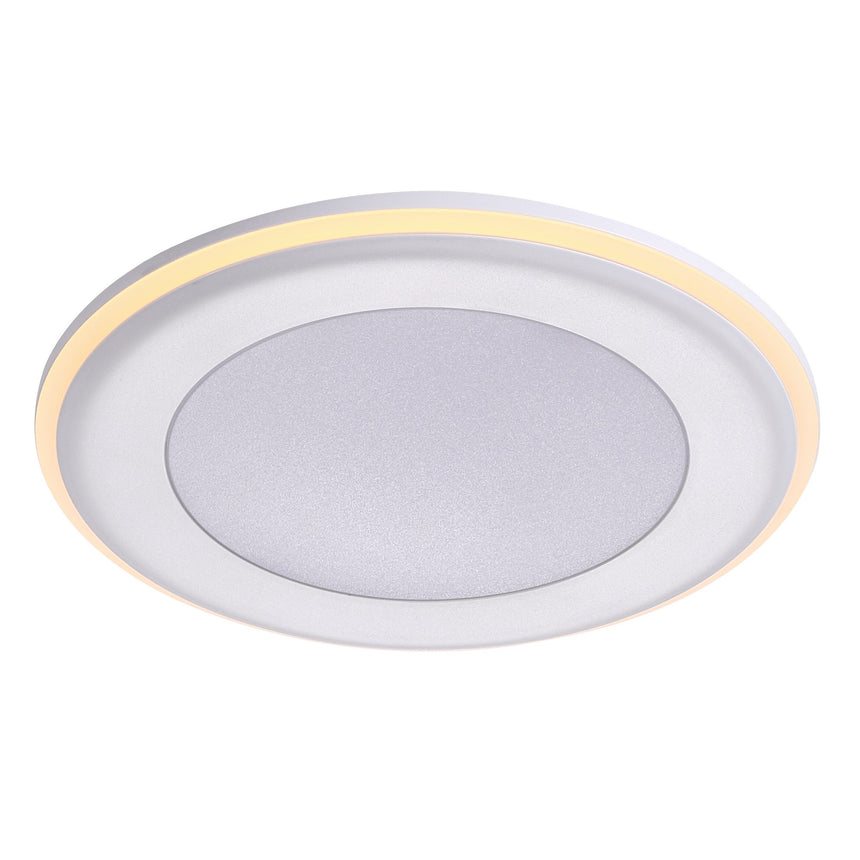 Elkton LED Downlight with 3-Step MoodMaker