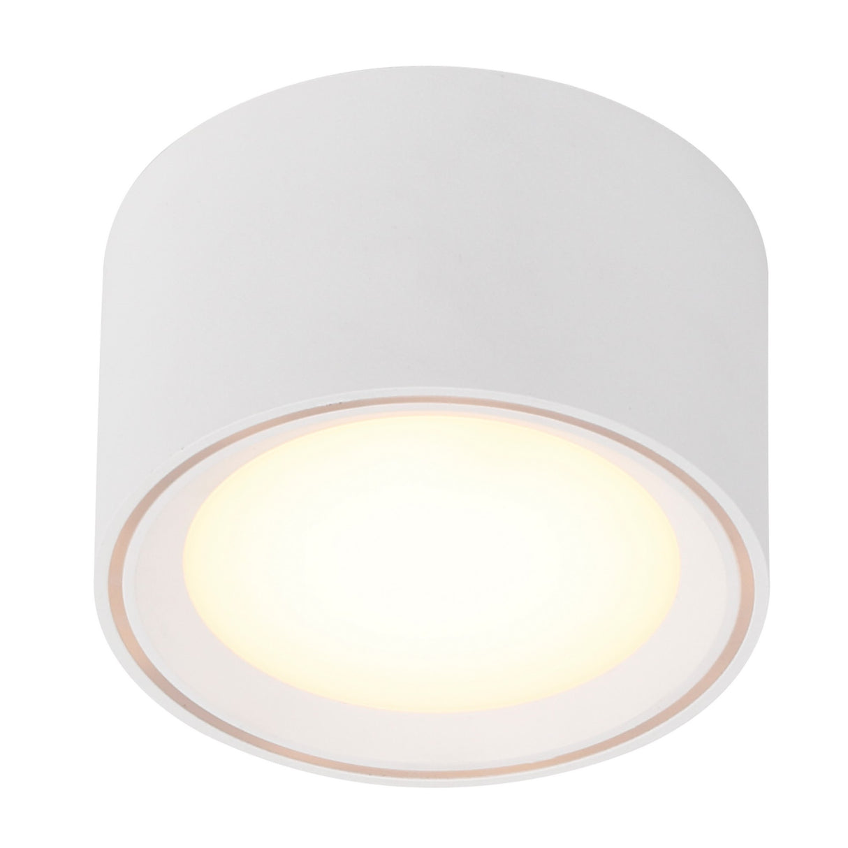 Fallon LED Surface Downlight