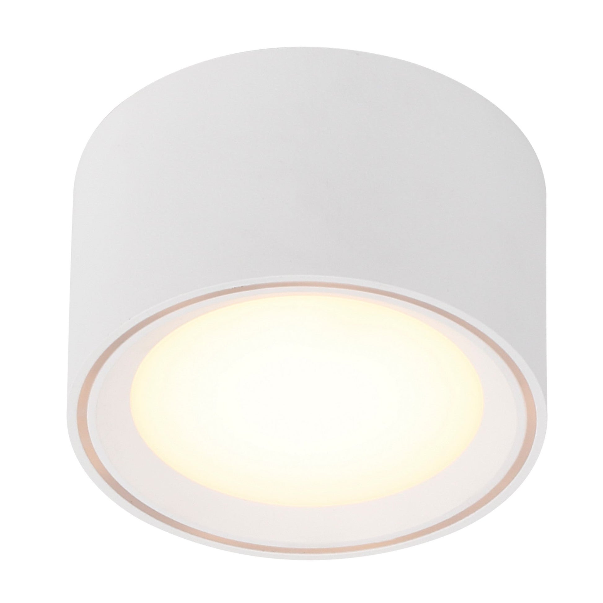 Fallon LED Downlight