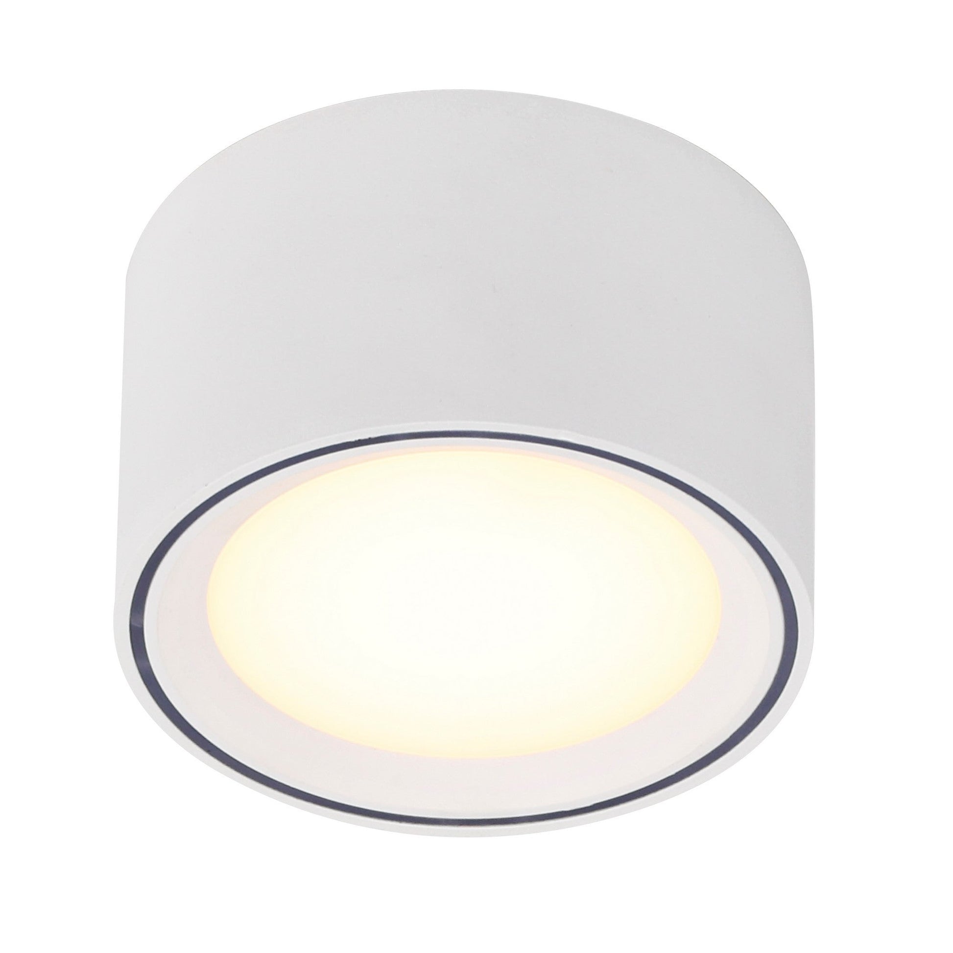 Fallon LED Downlight