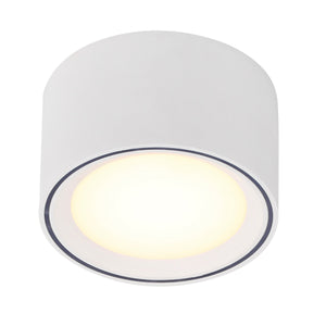 Fallon LED Surface Downlight