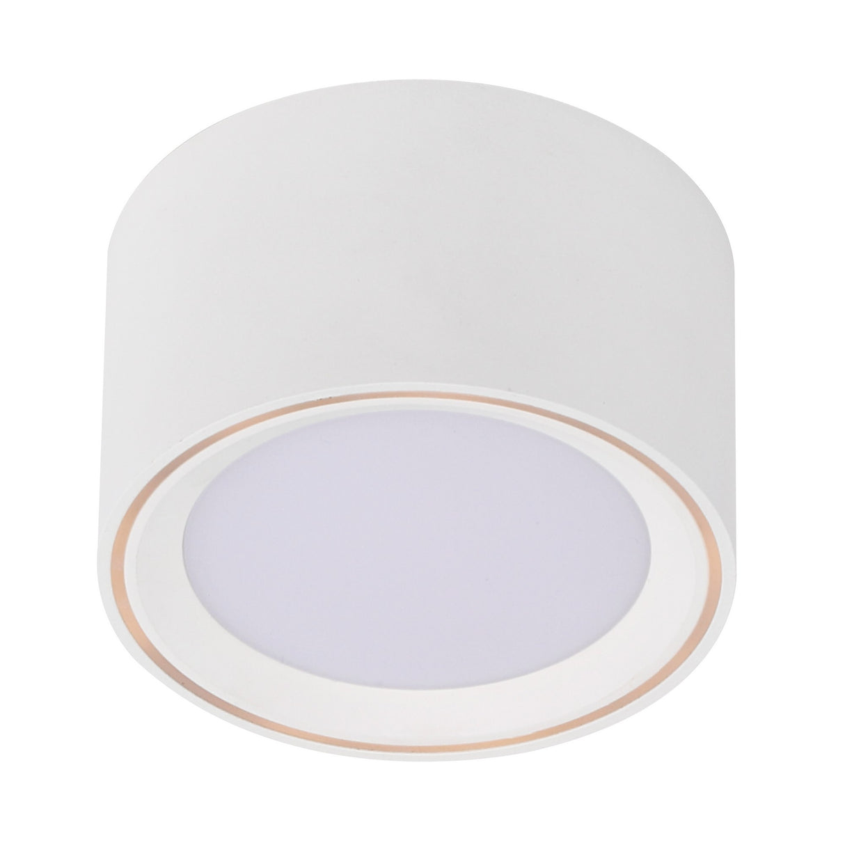 Fallon LED Surface Downlight