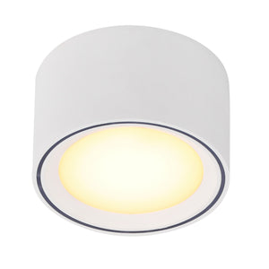 Fallon LED Surface Downlight