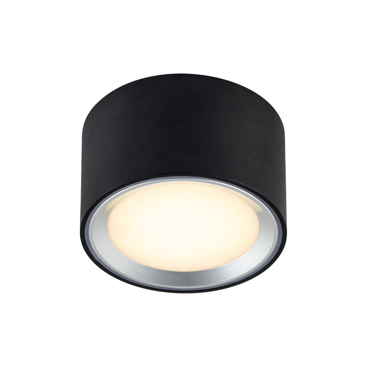 Fallon LED Surface Downlight