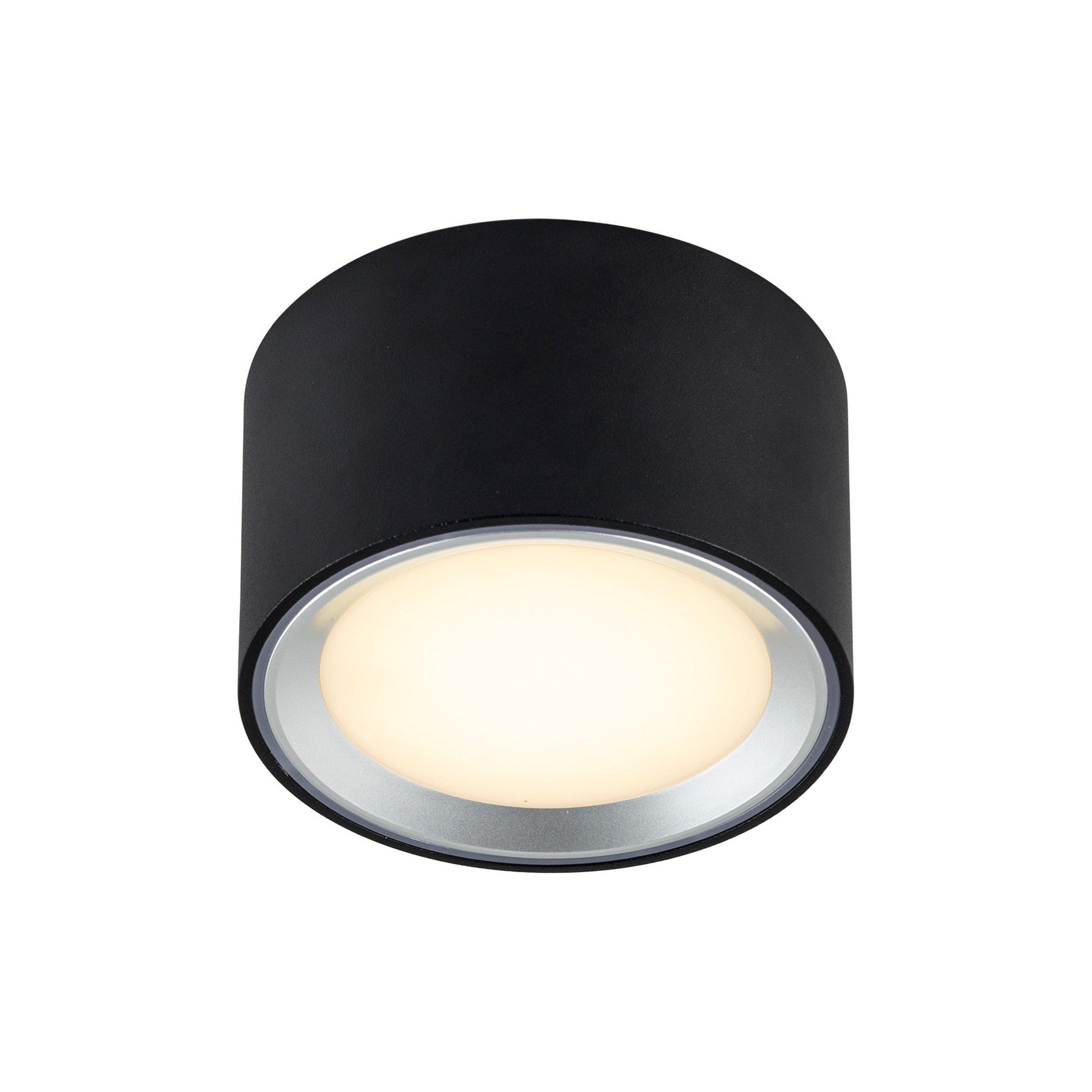Fallon LED Downlight