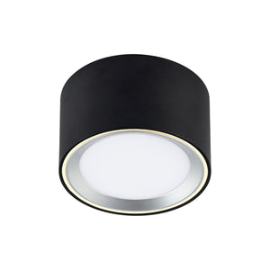 Fallon LED Surface Downlight