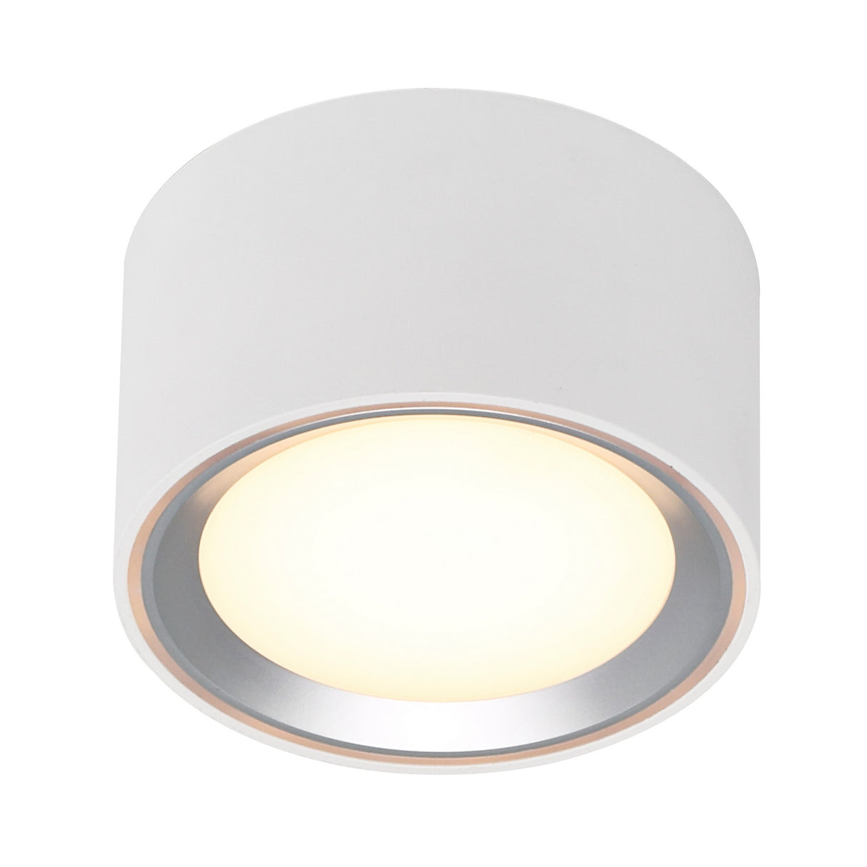 Fallon LED Surface Downlight