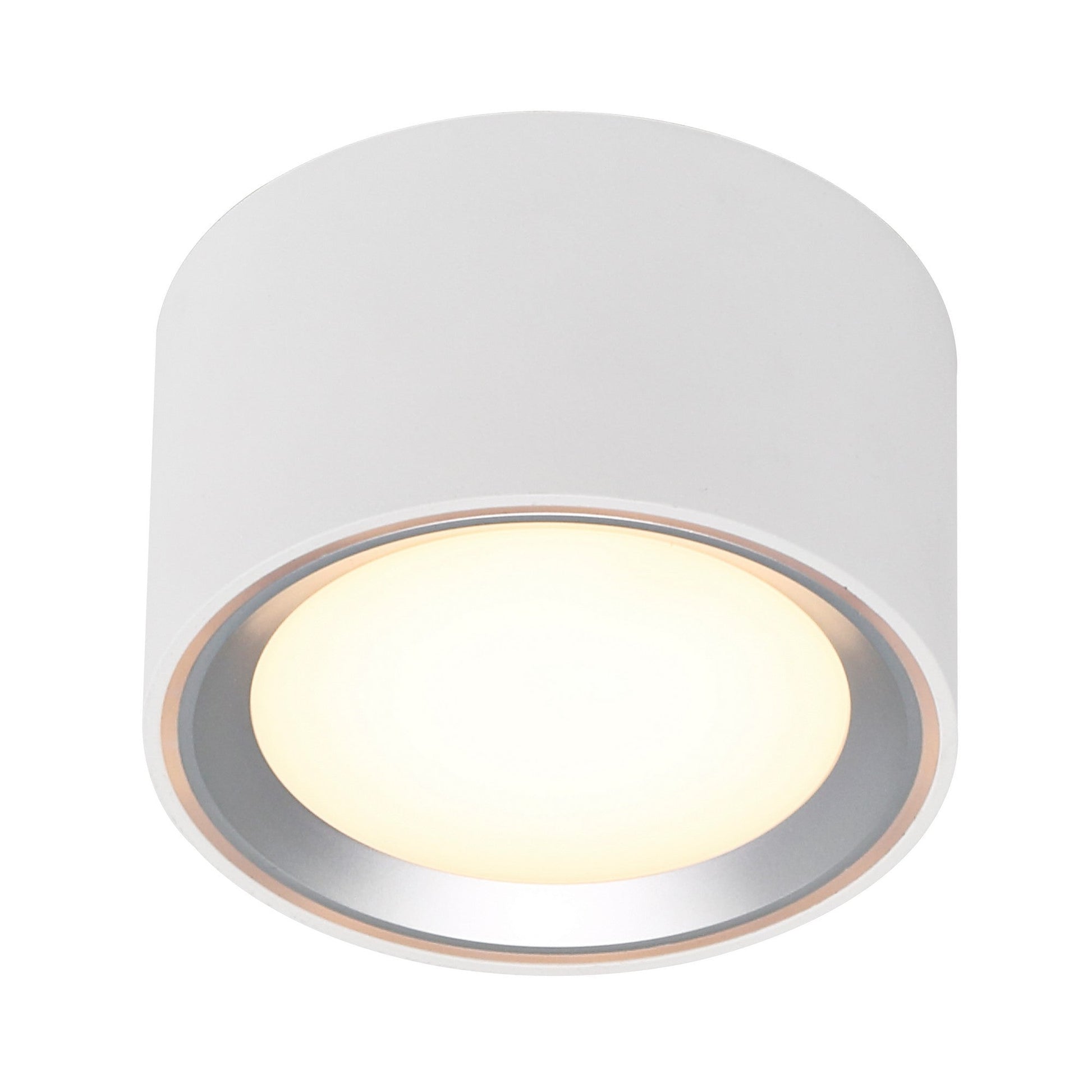 Fallon LED Downlight