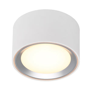 Fallon LED Surface Downlight