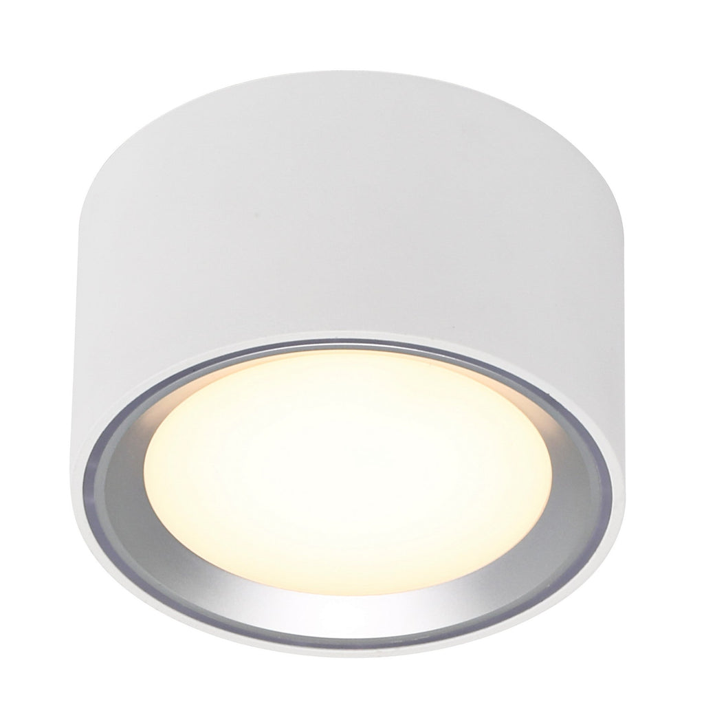 Fallon LED Downlight