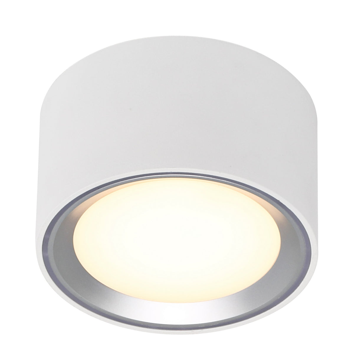 Fallon LED Surface Downlight