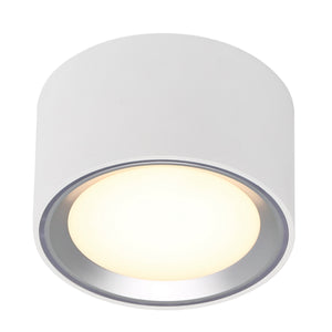 Fallon LED Surface Downlight