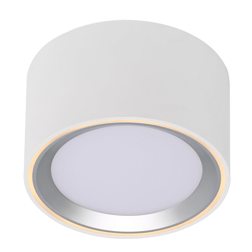 Fallon LED Downlight