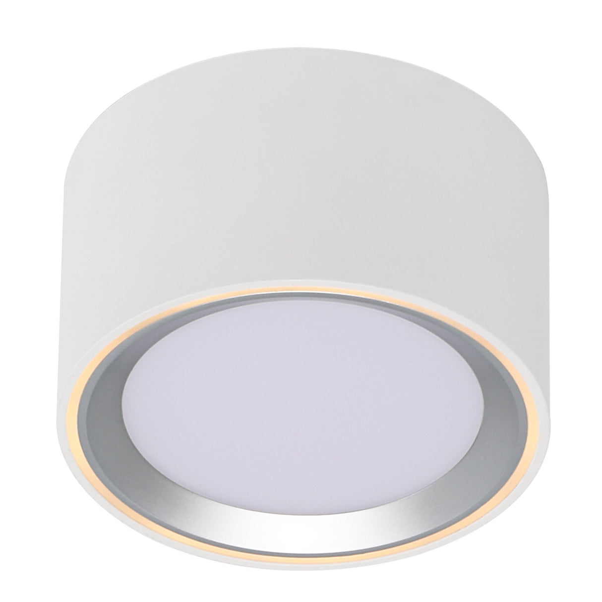 Fallon LED Surface Downlight