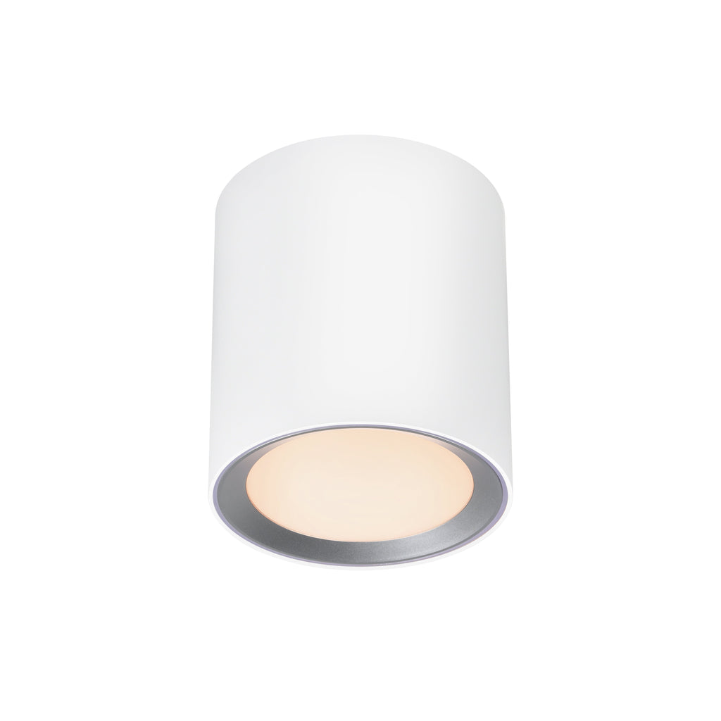 Landon 14 Smart Ceiling Light
