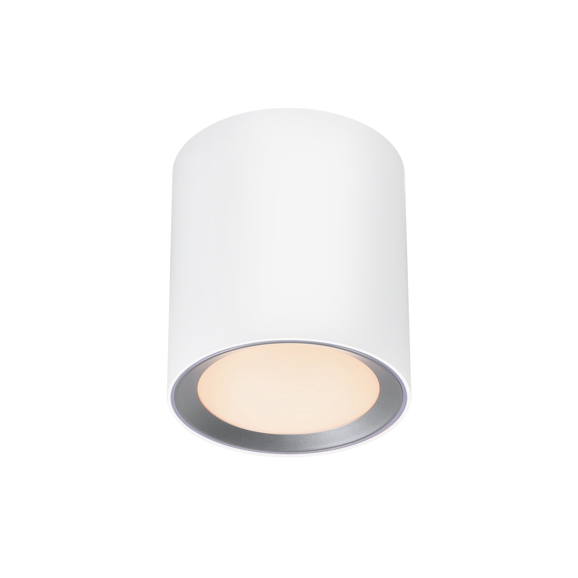 Landon 14 Smart Ceiling Light