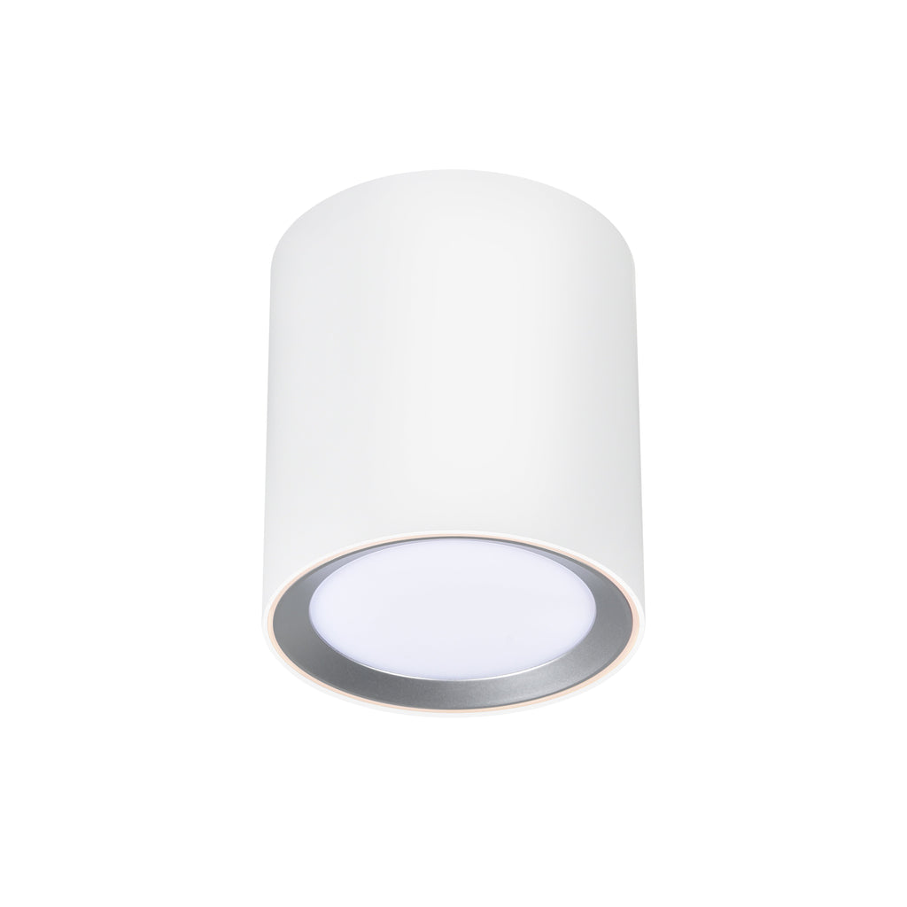 Landon 14 Smart Ceiling Light