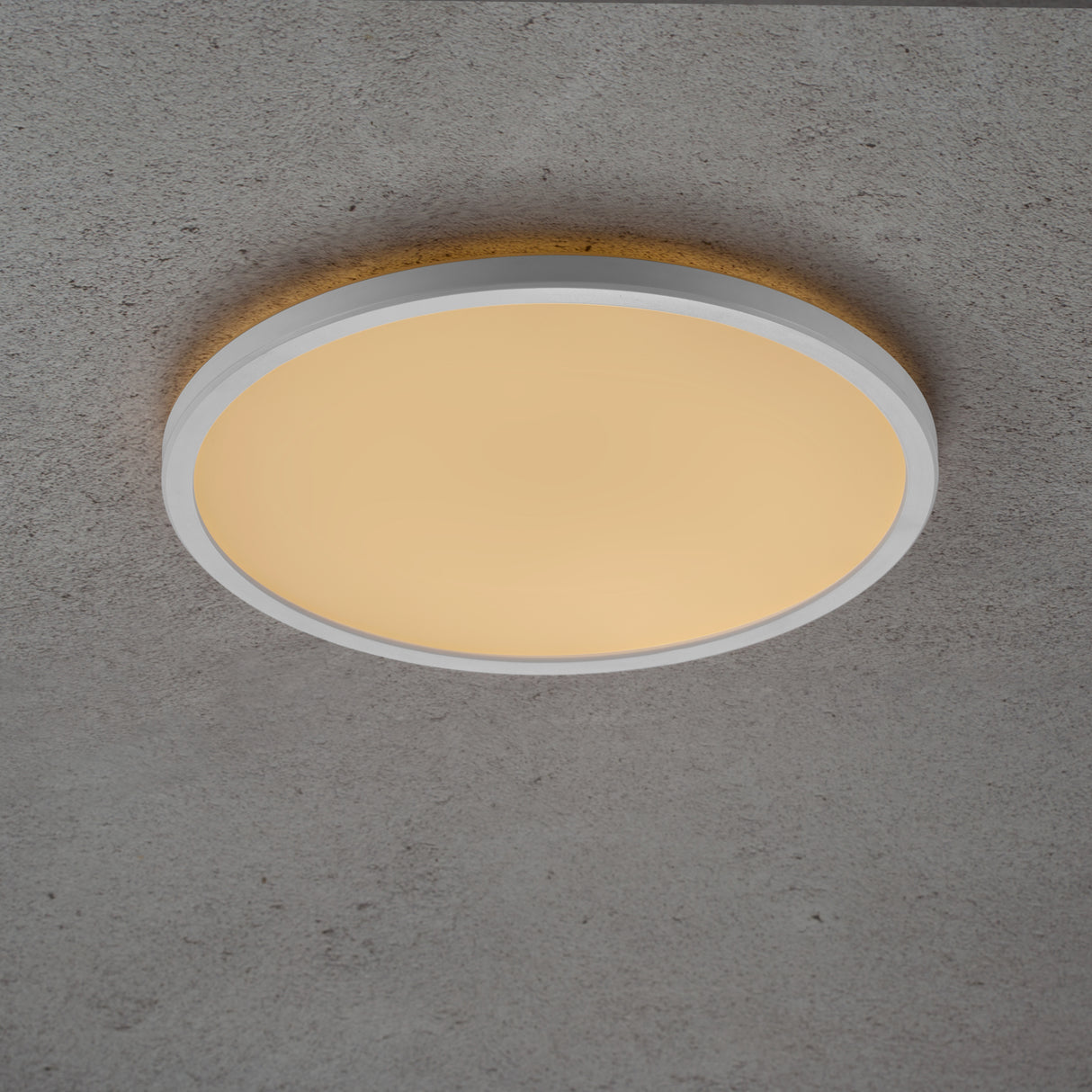 Oja 29 LED MoodMaker Ceiling Light