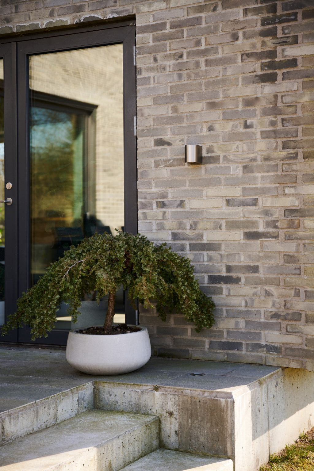 Canto 2 LED Up & Down Wall Light, Stainless Steel