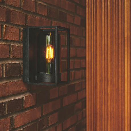 Griffin Wall Light, Black/Smoke