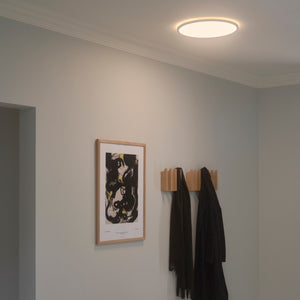 Oja 42 LED MoodMaker Ceiling Light