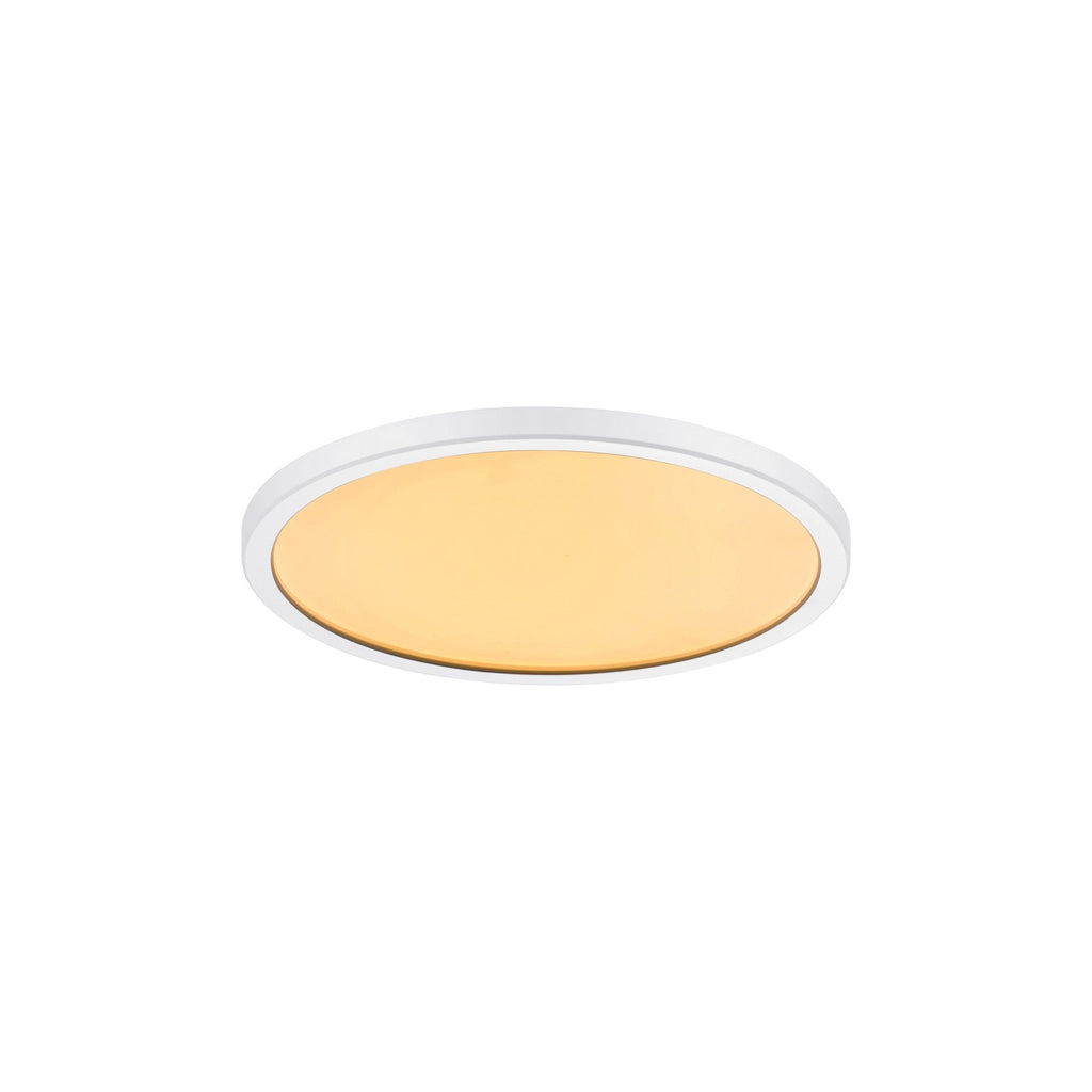 Oja 24 LED Ceiling Light, Warm White