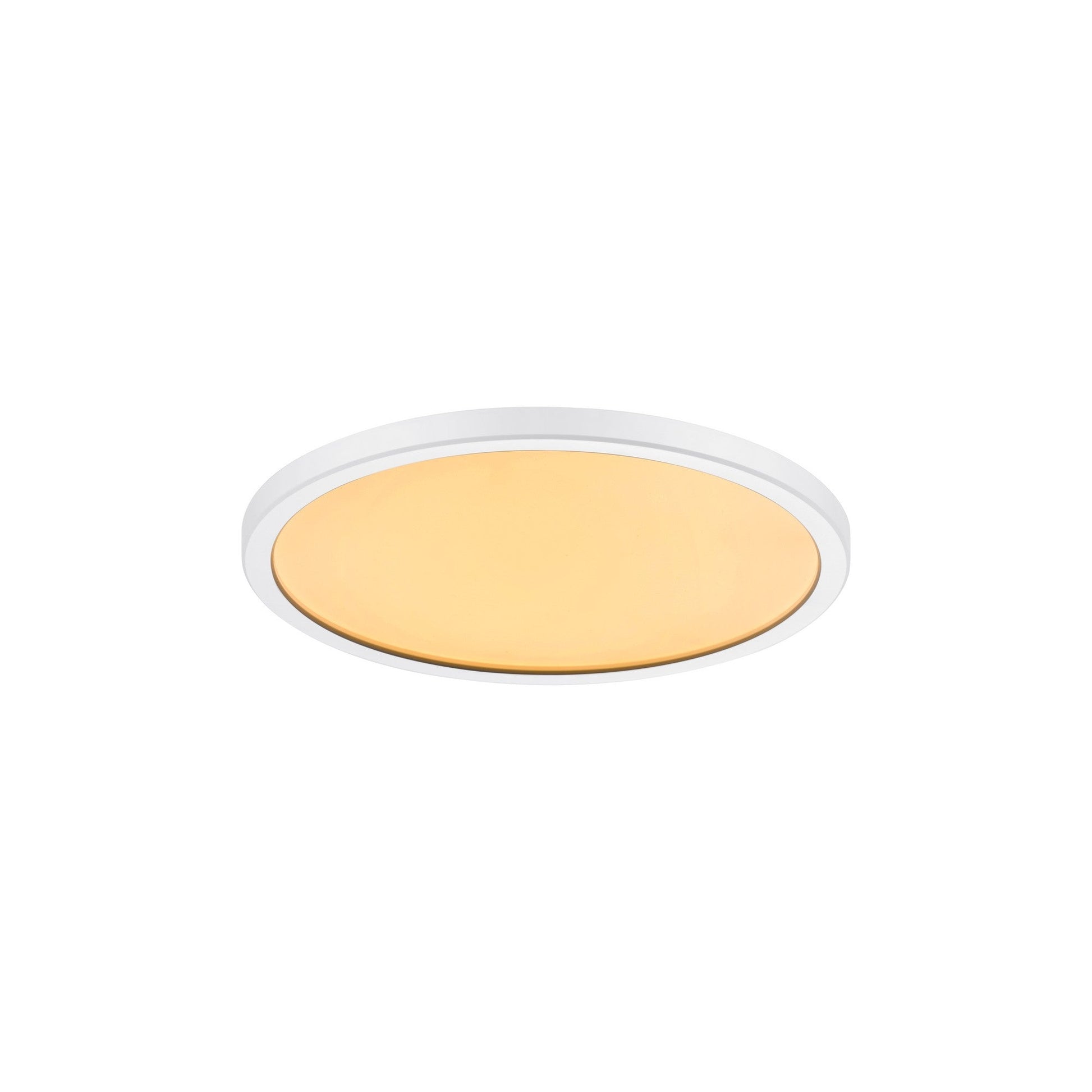 Oja 24 LED Ceiling Light, Warm White