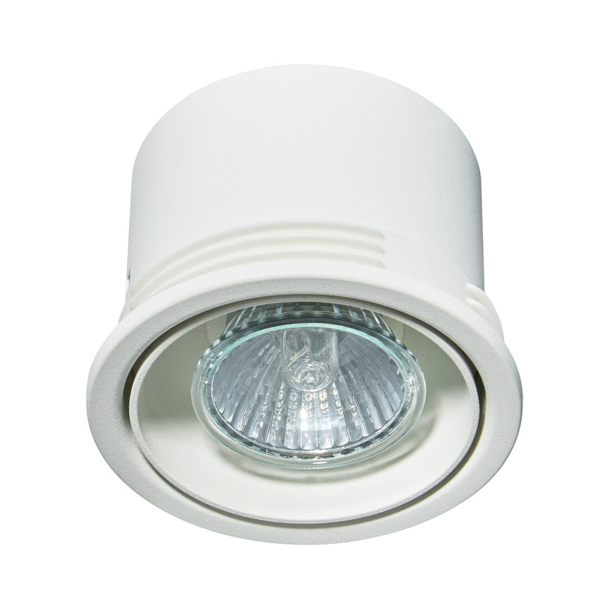 Sorina Downlight