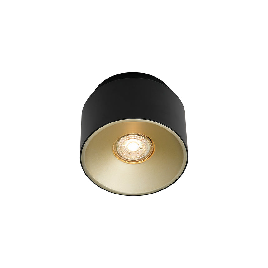 Torone Surface Mounted Downlight, Black/Brass