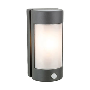 Alder Wall Light with PIR Sensor