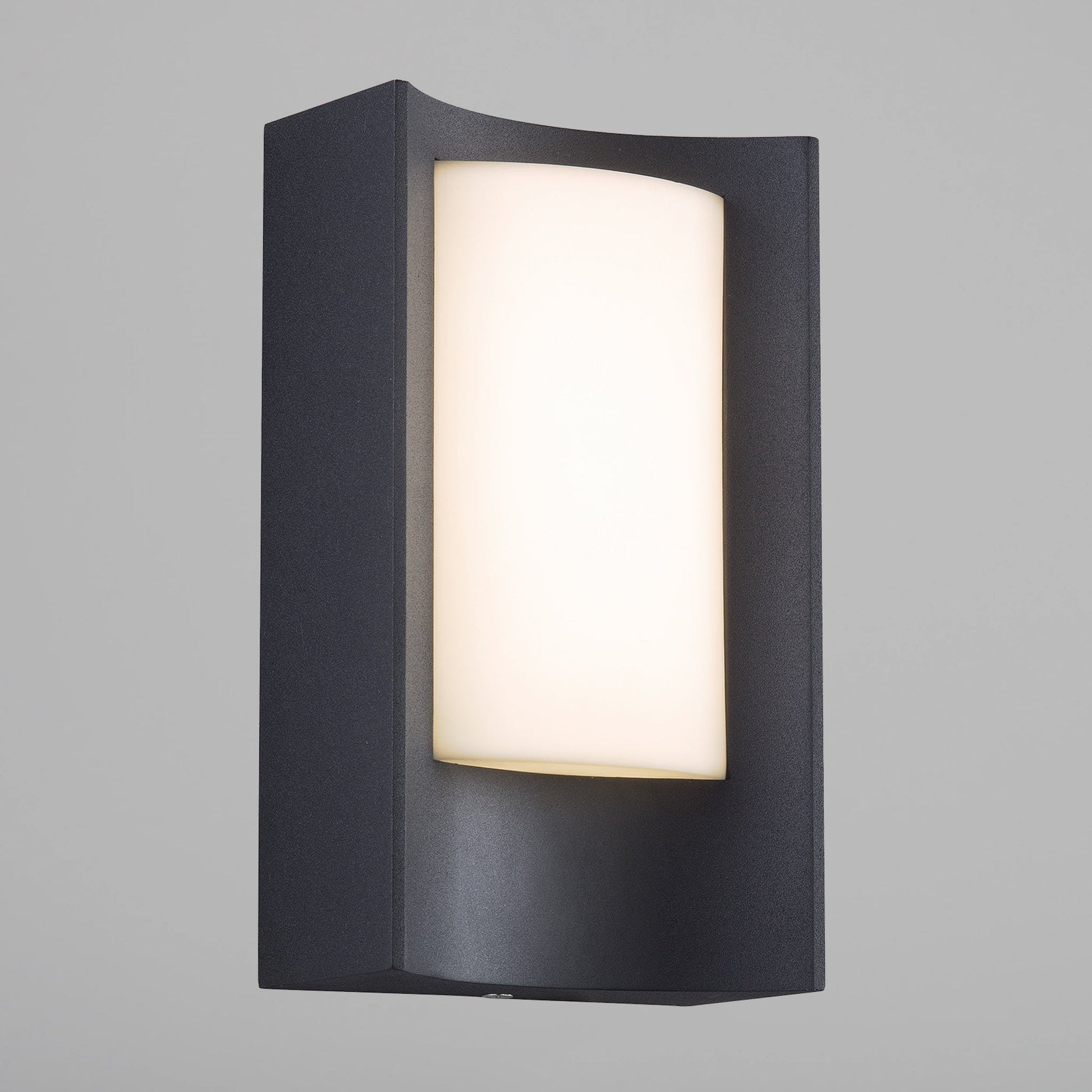 Aspen LED Outdoor Wall Light
