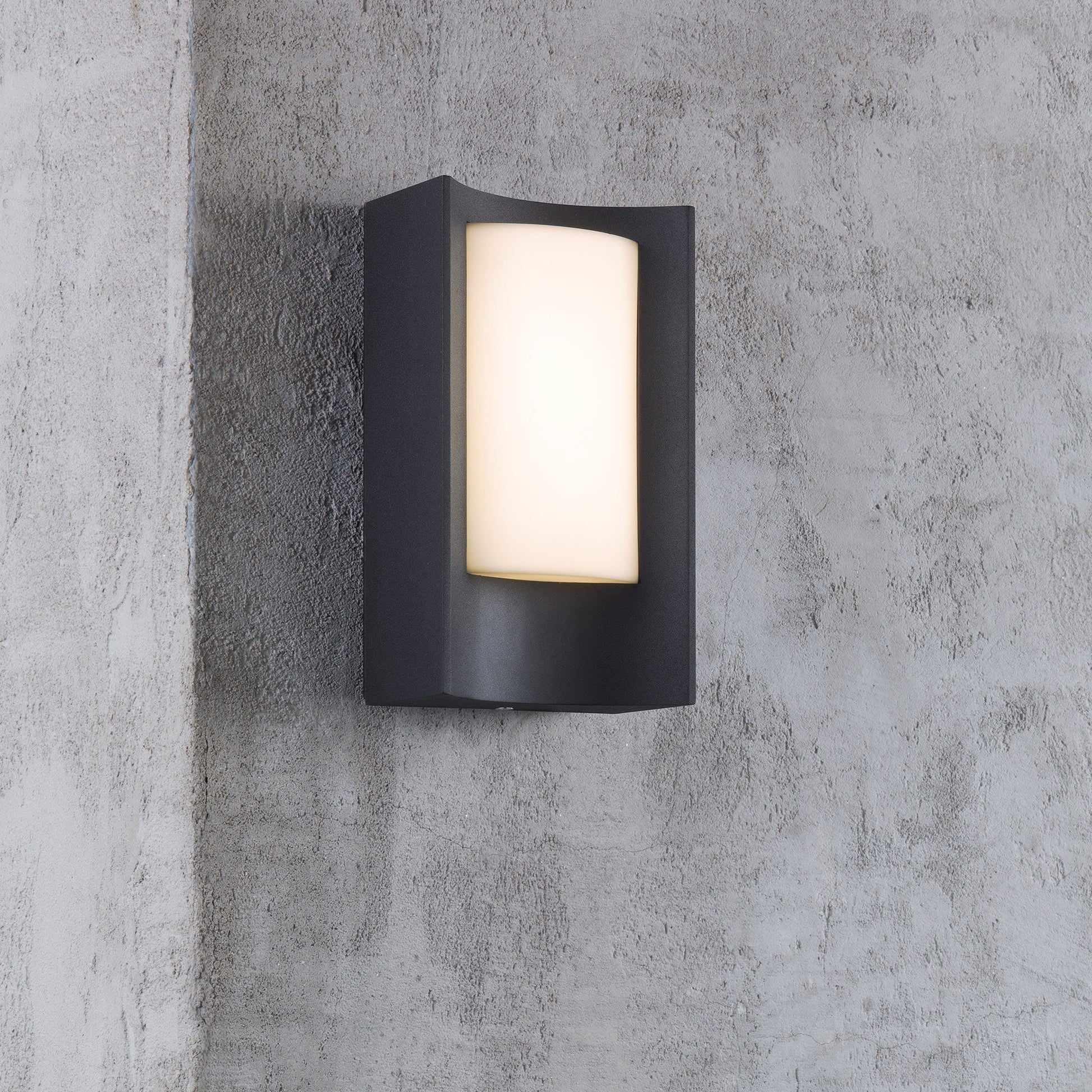 Aspen LED Outdoor Wall Light