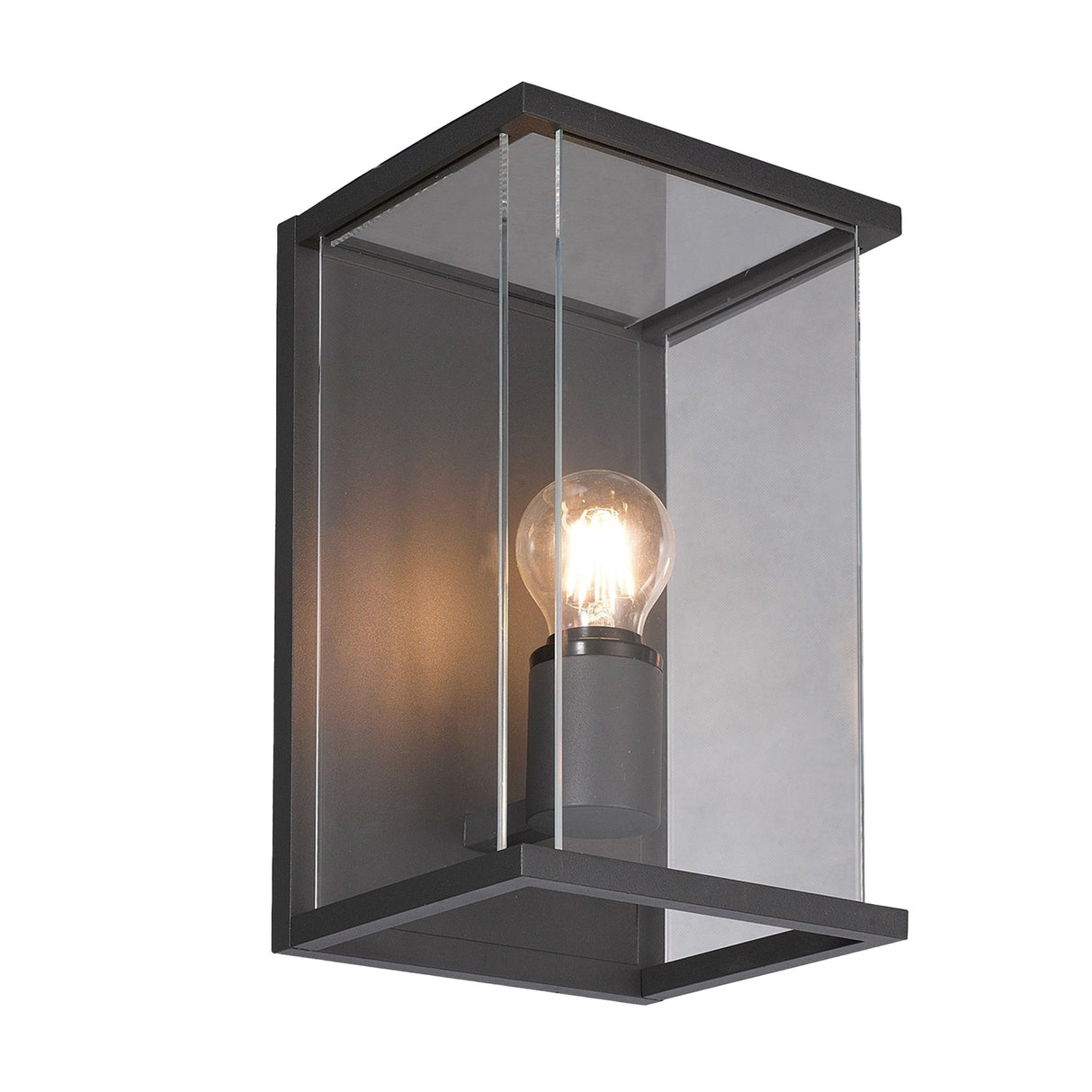 Toro Wall Light