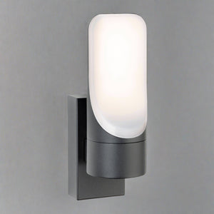 Liona Outdoor LED Wall Light