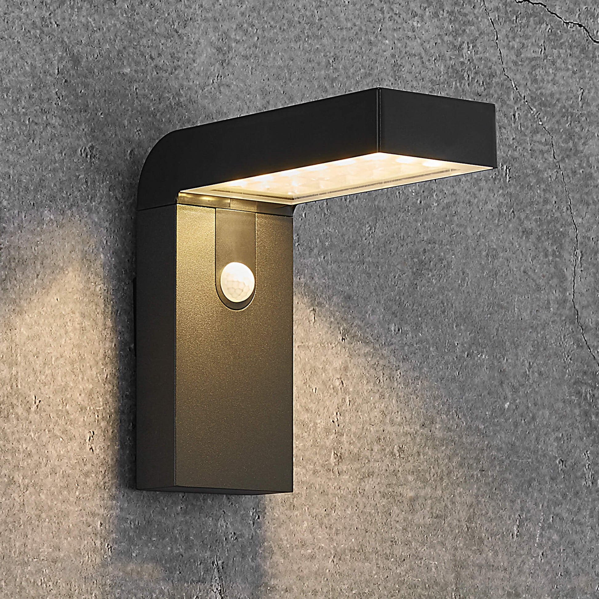 Alya LED Solar Wall Light