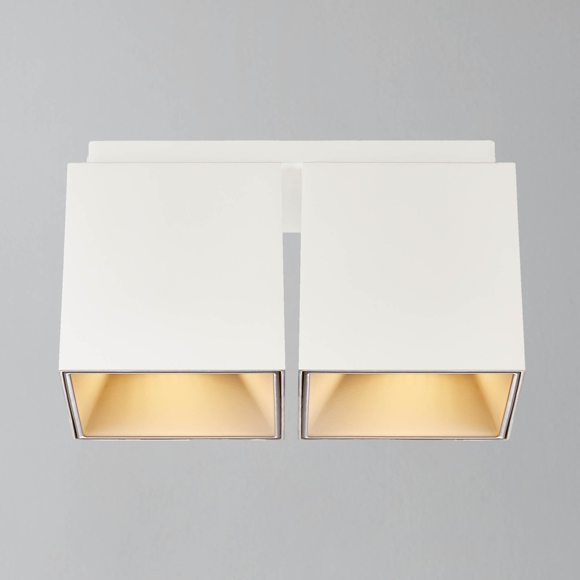 Ethan Square 2 Spot Surface Mount Downlight, White